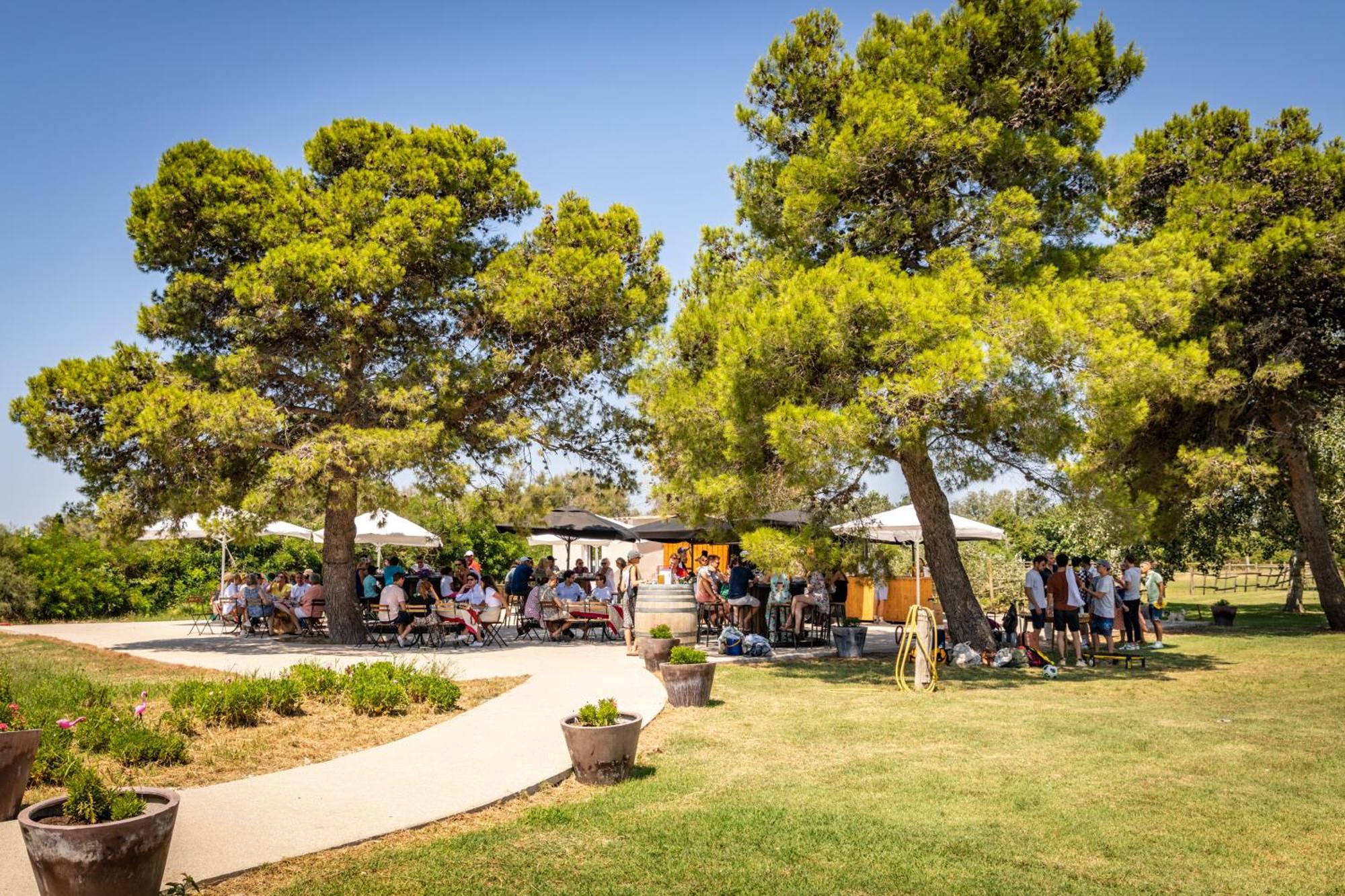 Lou Mas Dou Juge Hotel Saintes-Maries-de-la-Mer Exterior photo